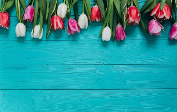 Картинка цветы, букет, colorful, тюльпаны, розовые, white, белые, fresh, wood, pink, flowers, beautiful, tulips, spring, purple, …