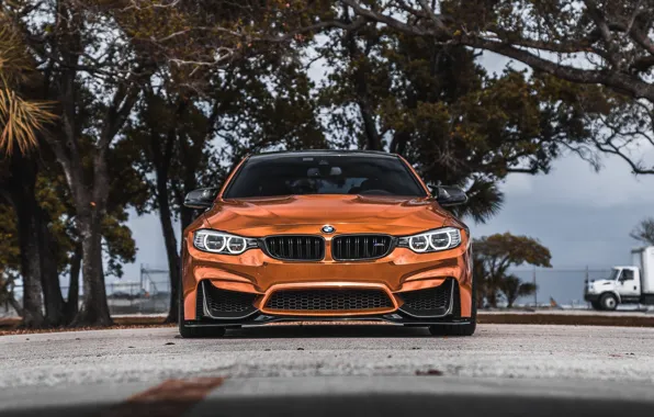 Картинка BMW, Carbon, Front, Face, Sight, Bronze, F83