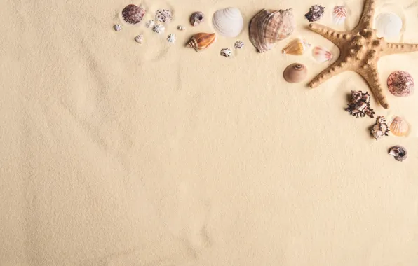 Картинка песок, Природа, ракушки, морская звезда