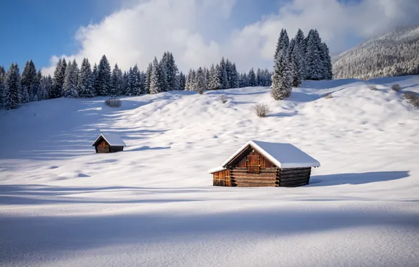 Картинка зима, лес, снег, Германия, Germany, Bavaria, сарайчики, Gerold