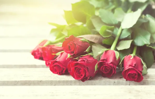 Картинка розы, red, love, бутоны, flowers, romantic, roses, красные розы, valentine`s day