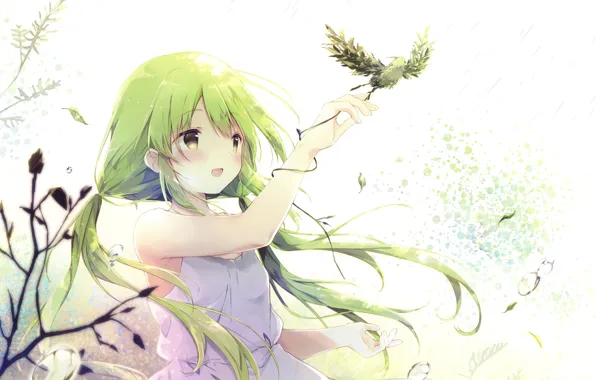 Картинка Птичка, Девочка, Аниме, Зелёные волосы