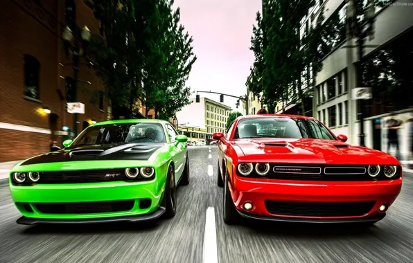 Картинка Muscle, Red, Race, Cars, Dodge Challenger, Green, Speed, Hellcat, SRT