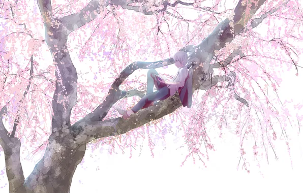 Картинка ветки, отдых, весна, мальчик, сакура, цветение, на дереве, большое дерево, читает книгу
