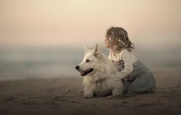 Картинка песок, собака, девочка, друзья, боке, Белая швейцарская овчарка