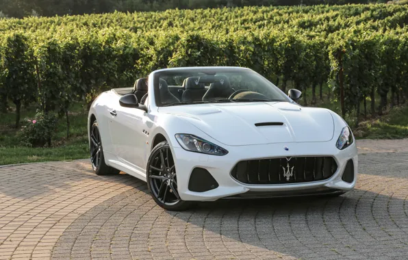 Картинка авто, Maserati, white, кабриолет, luxury, GranCabrio, metallic