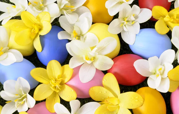 Картинка цветы, праздник, яйца, весна, пасха, grass, травка, flowers, spring, Easter, eggs, holiday