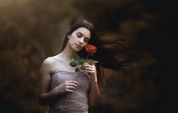 Картинка цветок, девушка, роза