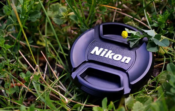Картинка Nikon, Grass, Macro