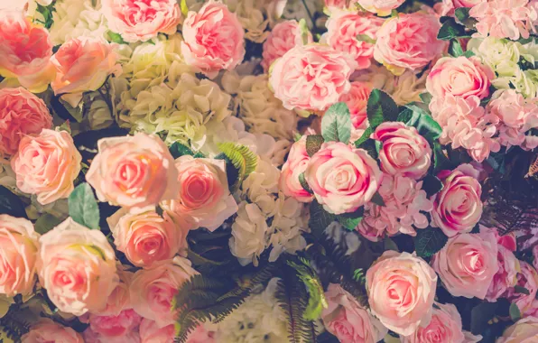 Картинка цветы, розы, лепестки, бутоны, flowers, roses