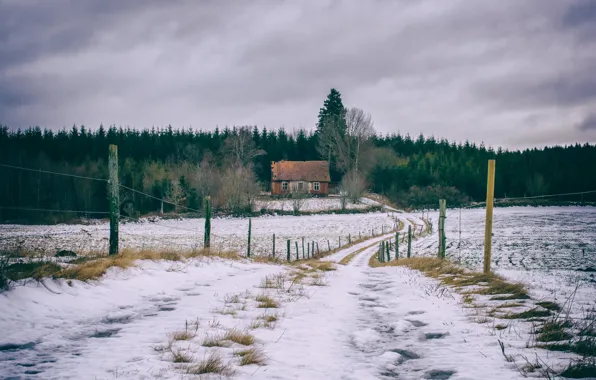 Картинка зима, дорога, поле, снег, дом, забор, Родина