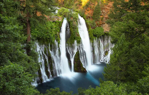 Картинка лес, деревья, скалы, водопад, Калифорния, сверху, USA, США, California, waterfalls, Burney falls, MacArthur
