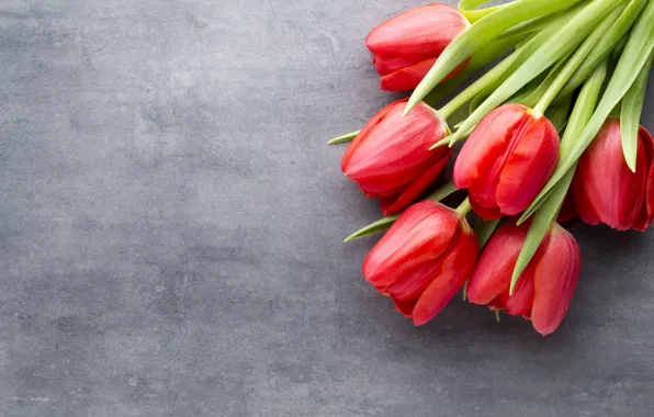 Картинка цветы, букет, тюльпаны, красные, red, fresh, flowers, beautiful, tulips, spring