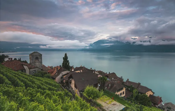 Картинка озеро, Швейцария, Lake Geneva, Vaud, Saint-Saphorin