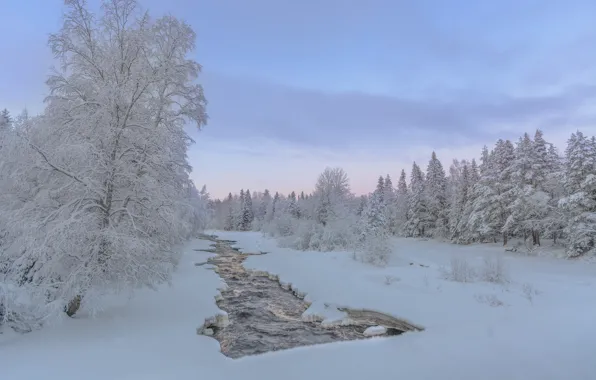 Картинка зима, лес, снег, деревья, река, Финляндия
