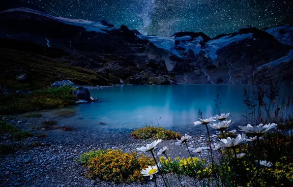 Картинка небо, звезды, цветы, горы, ночь, озеро, камни, берег, ромашки, Швейцария, Альпы