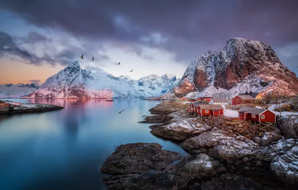 Картинка горы, птицы, скалы, Норвегия, поселок, фьорд, Лофотенские острова
