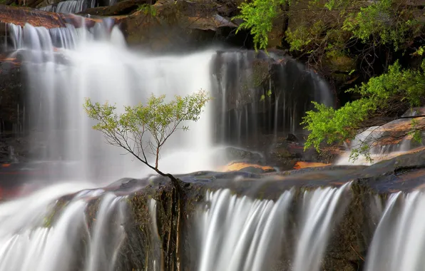 Картинка водопад, Австралия, Новый Южный Уэльс, Голубые горы, Вентворт