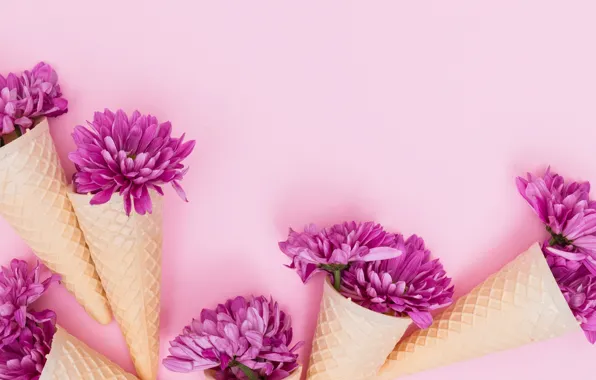 Картинка цветы, лепестки, pink, flowers