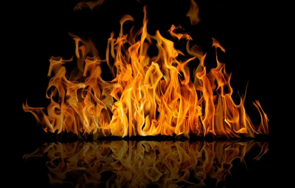 Картинка отражение, фон, огонь, пламя, чёрный, fire, flame, reflection
