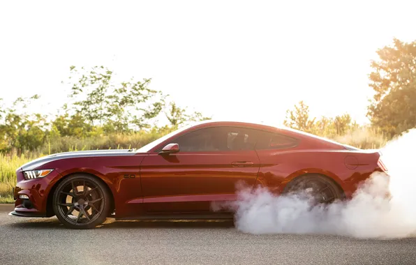 Картинка Mustang, Ford, Speed, Smoke, Muscle car, Road