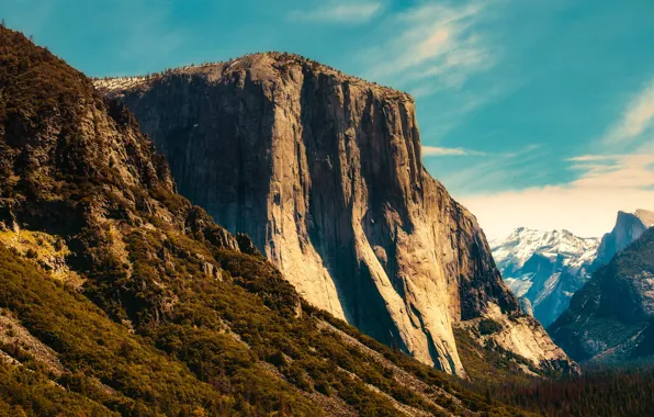 Картинка лес, деревья, горы, скалы, Калифорния, ущелье, США, Йосемити, Yosemite National Park