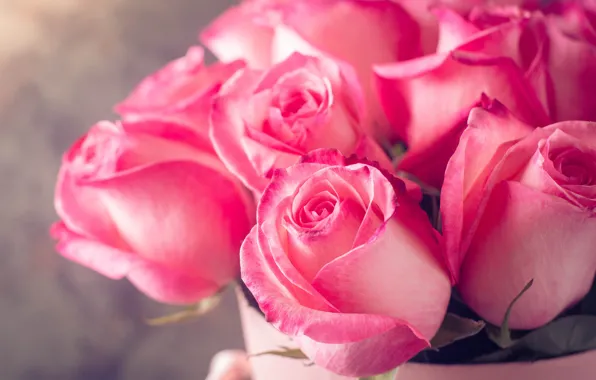 Картинка розы, букет, розовые, rose, flower, pink, bouguet