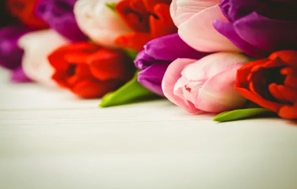 Картинка цветы, букет, colorful, тюльпаны, red, white, wood, flowers, tulips, spring, purple