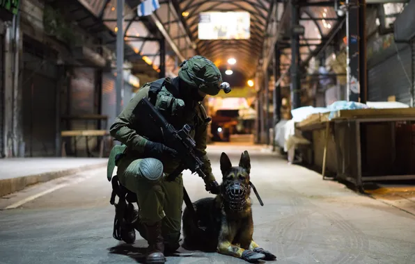 Картинка собака, солдат, автомат, служба