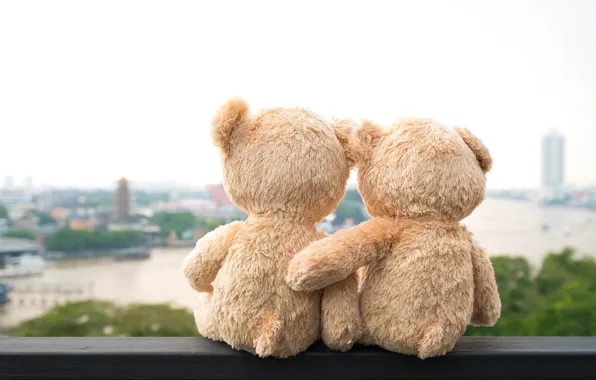Картинка любовь, мост, city, город, река, игрушка, медведь, пара, love, двое, river, bear, bridge, view, teddy