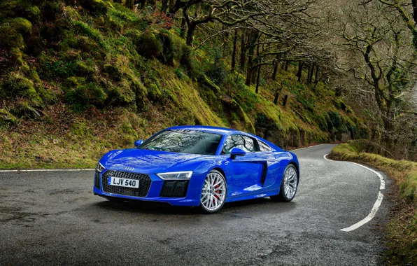 Картинка дорога, лес, Audi, ауди, суперкар, синяя