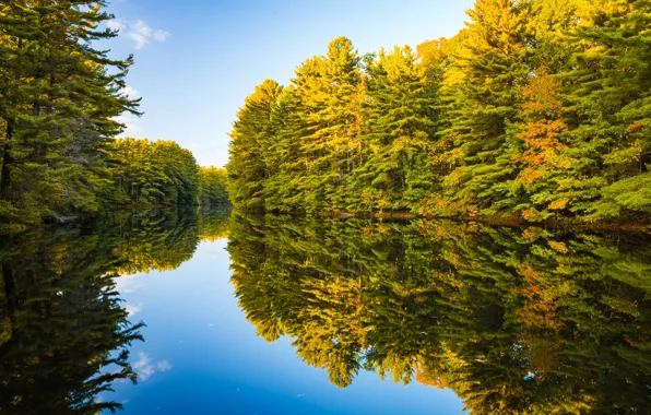 Картинка осень, лес, Природа, Озеро