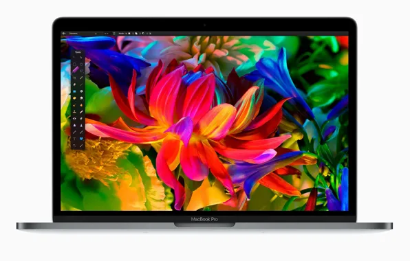 Картинка Apple, flower, design, laptop, hana, technology, Macbook Pro, Macbook, efficiency