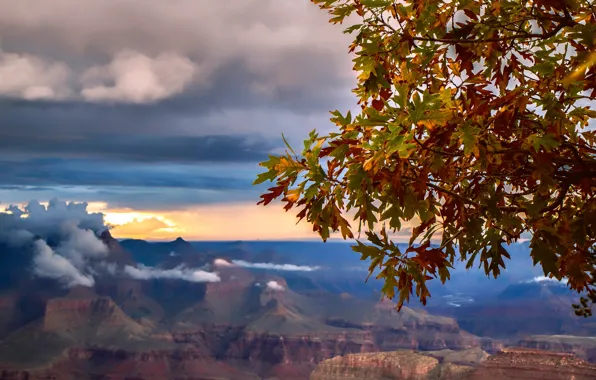 Картинка осень, листья, горы, скалы, каньон, Аризона, ущелье, США, grand canyon national park