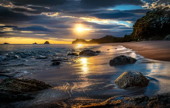 Картинка песок, море, пляж, небо, солнце, облака, деревья, закат, камни, побережье, Новая Зеландия, Tasman