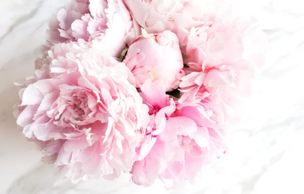 Картинка цветы, букет, мрамор, pink, flowers, пионы, peonies, tender, marble