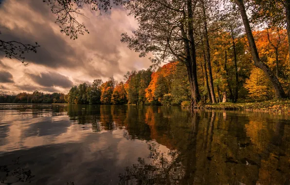 Картинка осень, озеро, Польша, Lake Hancza