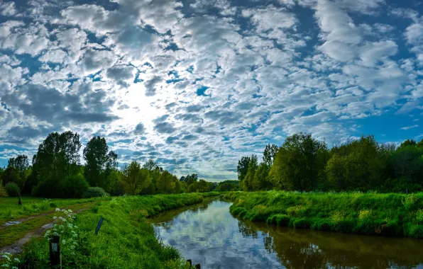 Картинка небо, облака, деревья, природа, река