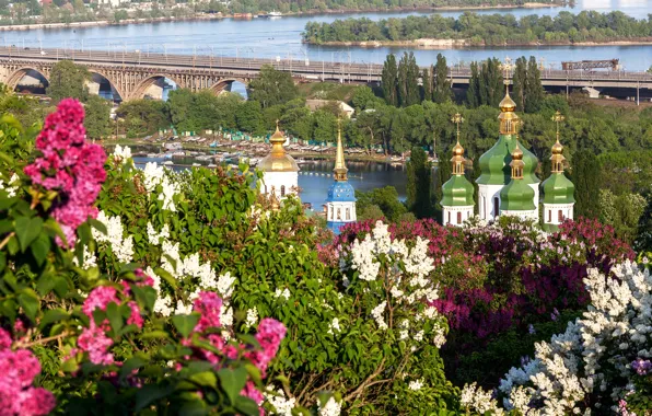 Картинка мост, весна, панорама, храм, сирень, Киев, Днепр