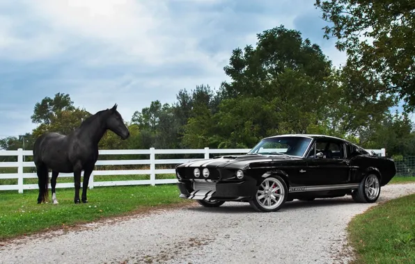 Картинка Muscle, 1968, Horse, Ford Mustang Shelby GT 500CR