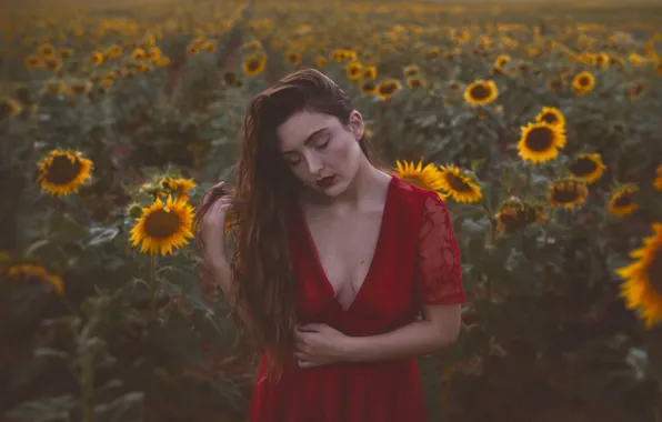 Картинка поле, девушка, подсолнухи, настроение, красное платье, длинные волосы, Isabella Phillips