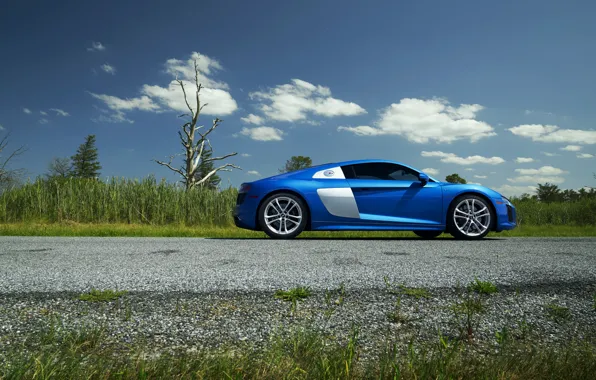 Картинка Audi, Blue, Side, View, V10