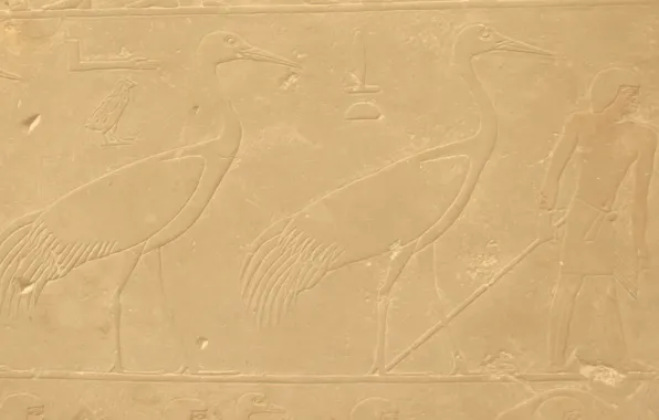 Картинка птица, камень, человек, текстура, символ, Египет, профиль, bird, Egypt, man, symbol, журавль, палка, барельеф, egyptian, …
