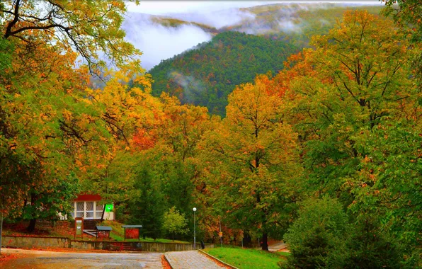 Картинка Природа, Дорога, Осень, Деревья, Холмы, Fall, Autumn, Road, Trees