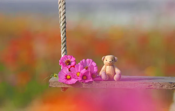 Картинка цветы, качели, настроение, игрушка, медвежонок, боке, космея, плюшевый мишка