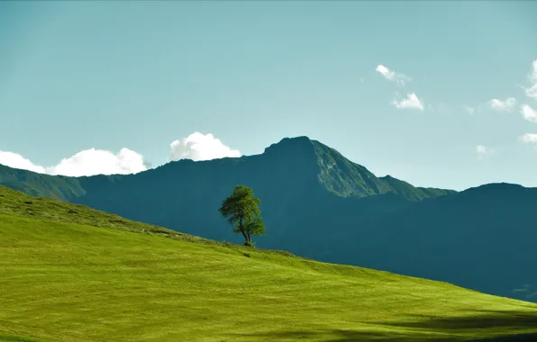Картинка трава, пейзаж, горы, дерево