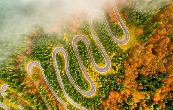 Картинка дорога, осень, лес, деревья, машины, природа, туман, дымка