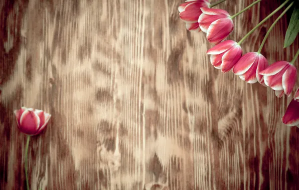 Картинка цветы, букет, тюльпаны, wood, pink, romantic, tulips, spring, розовые тюльпаны
