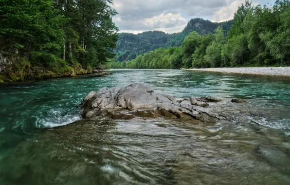 Картинка Деревья, Река, Австрия, Камни, Nature, Austria, River, Trees