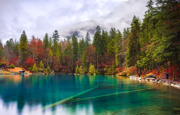 Картинка осень, вода, деревья, озеро